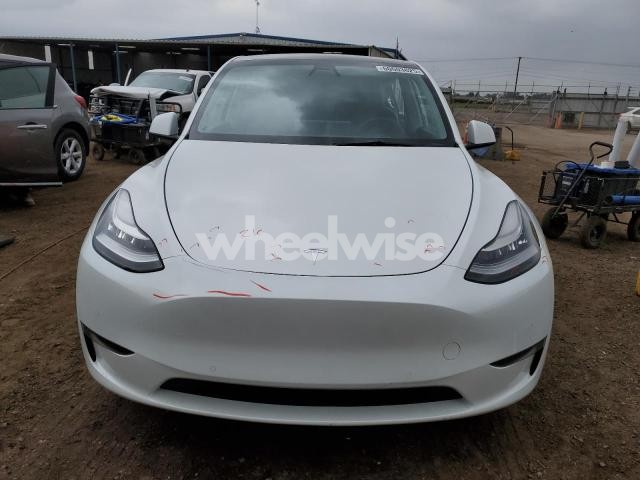 Photo 3 of 2021 TESLA MODEL Y (VIN 5YJYGDEE5MF244969)