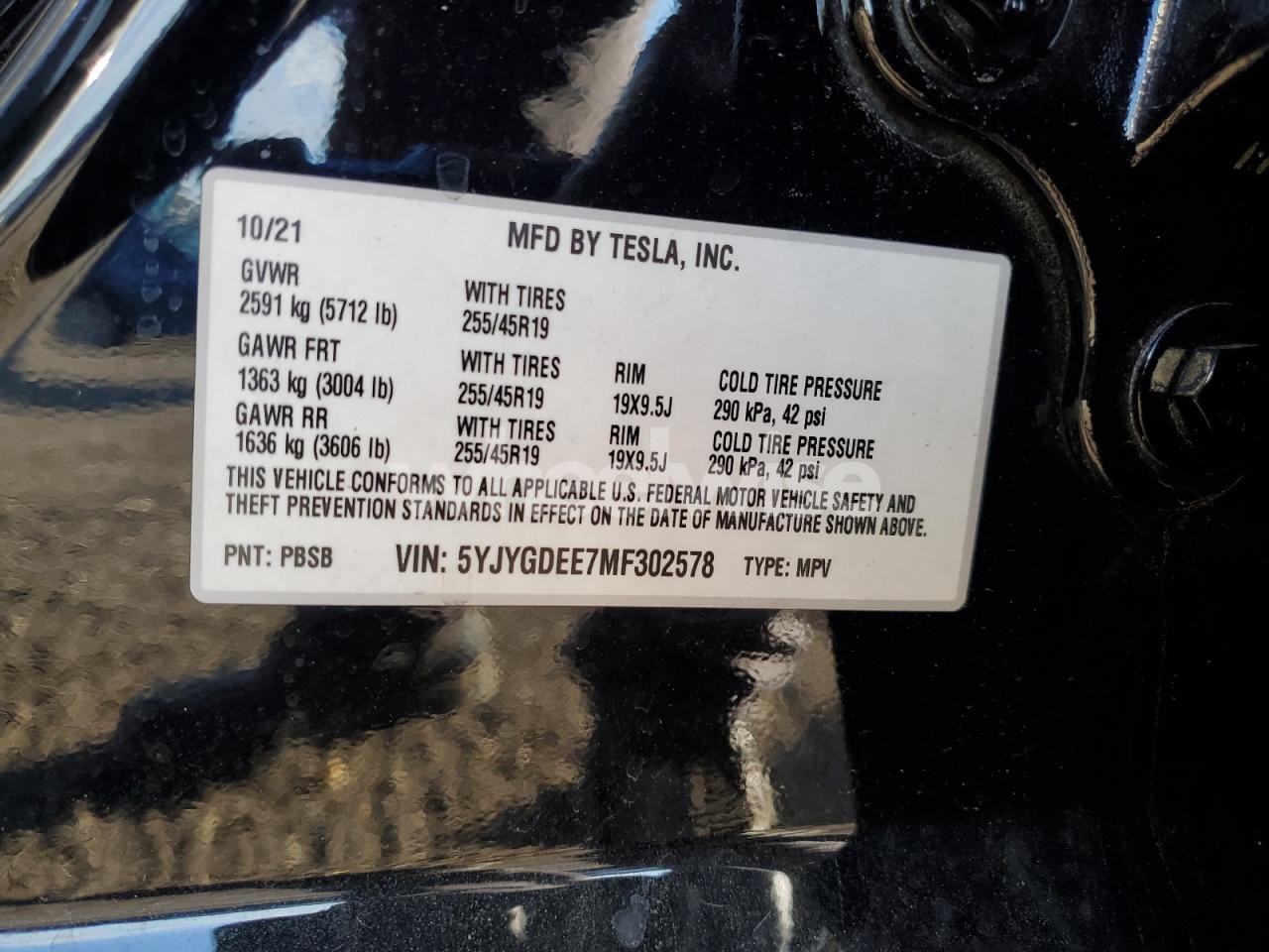 Photo 13 of 2021 TESLA MODEL Y (VIN 5YJYGDEE7MF302578)