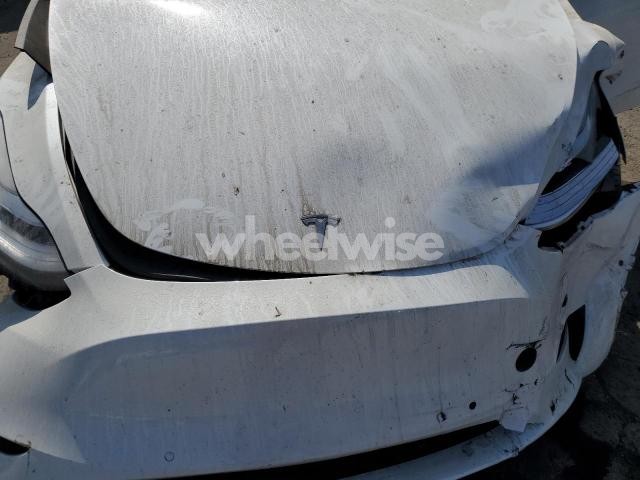 Photo 10 of 2021 TESLA MODEL Y (VIN 5YJYGDEE8MF231584)