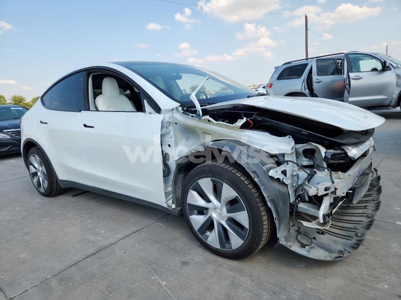 2020 TESLA MODEL Y (VIN 5YJYGDEE9LF032607) main photo