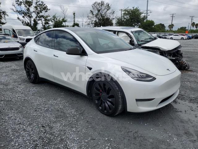 2021 TESLA MODEL Y (VIN 5YJYGDEF7MF089057) main photo