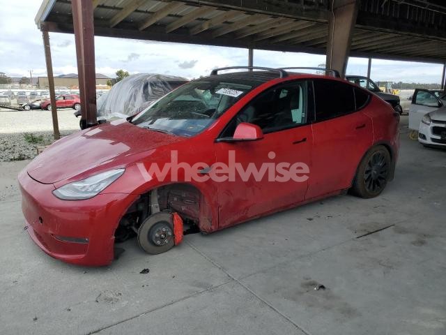 2020 TESLA MODEL Y (VIN 5YJYGDEF8LF027987) main photo