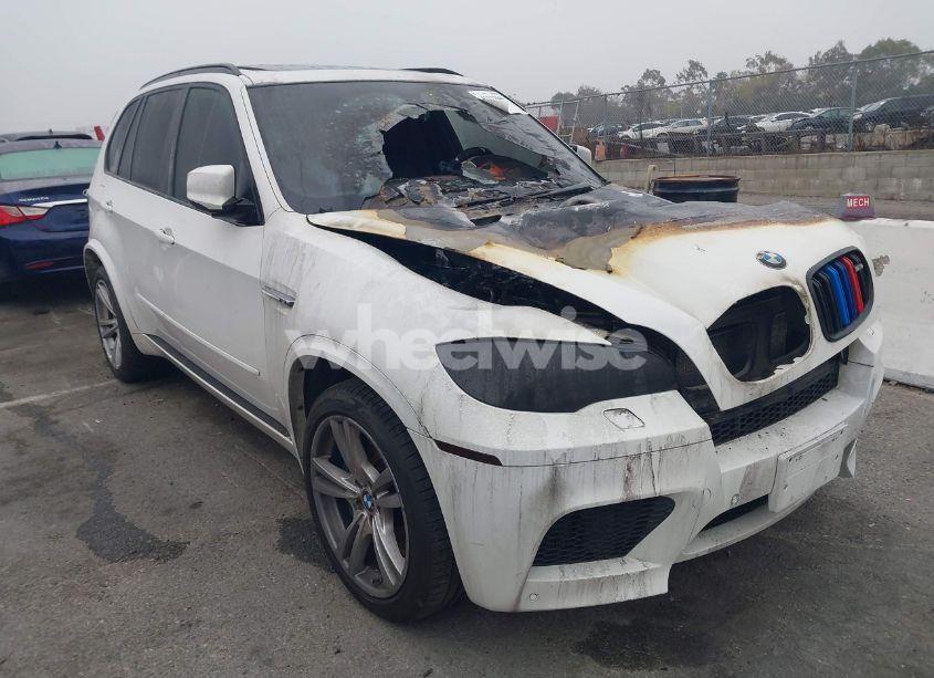 2010 Bmw X5 M (VIN 5YMGY0C52ALK25509) main photo