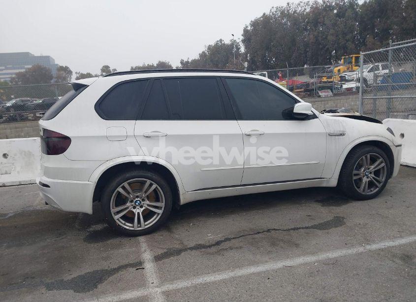 Photo 13 of 2010 Bmw X5 M (VIN 5YMGY0C52ALK25509)
