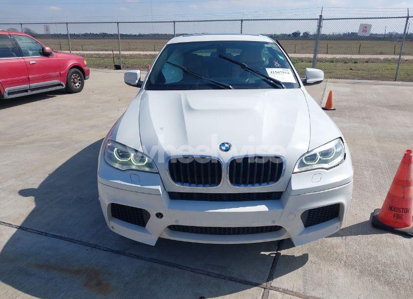 Photo 12 of 2014 Bmw X6 M (VIN 5YMGZ0C51E0C40719)