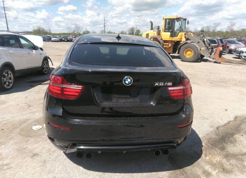 Photo 16 of 2014 Bmw X6 M (VIN 5YMGZ0C54E0C40357)