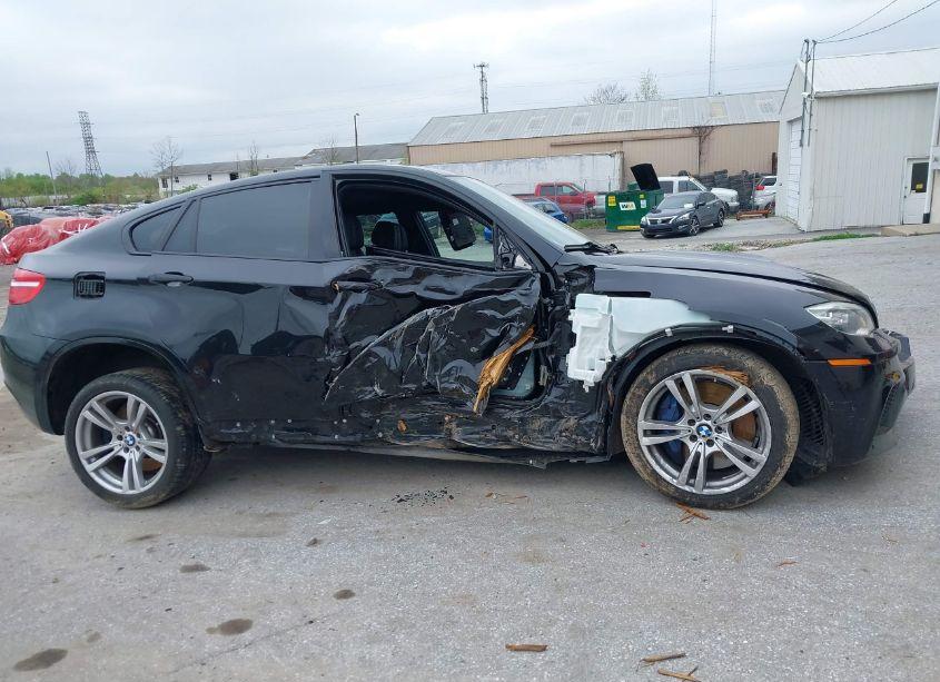 Photo 6 of 2014 Bmw X6 M (VIN 5YMGZ0C54E0C40357)