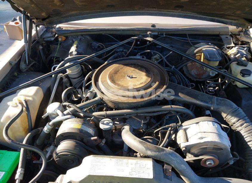 Photo 10 of 1980 Cadillac Seville-elegante (VIN 6S698AE677814)