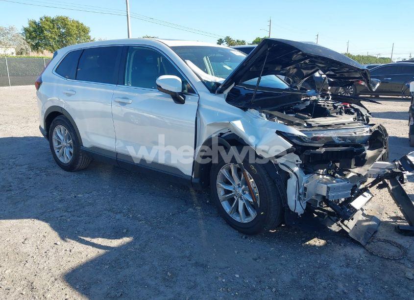 2024 Honda Cr-v EX-L 2WD (VIN 7FARS3H73RE004390) main photo