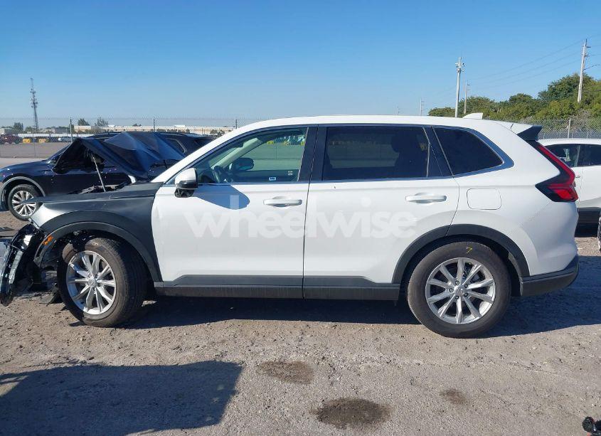 Photo 14 of 2024 Honda Cr-v EX-L 2WD (VIN 7FARS3H73RE004390)