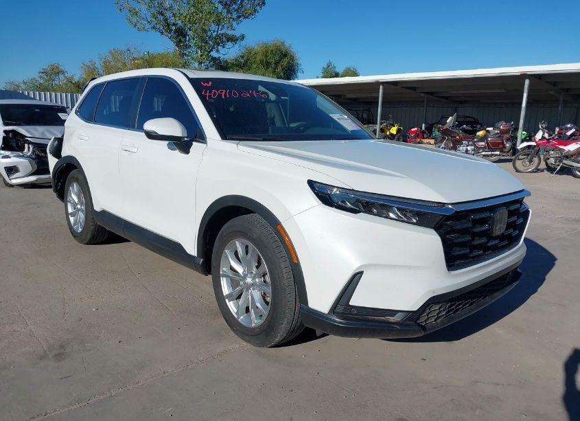 2024 Honda Cr-v EX-L 2WD (VIN 7FARS3H78RE003171) main photo