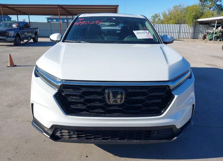 Photo 12 of 2024 Honda Cr-v EX-L 2WD (VIN 7FARS3H78RE003171)