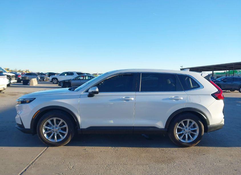 Photo 14 of 2024 Honda Cr-v EX-L 2WD (VIN 7FARS3H78RE003171)