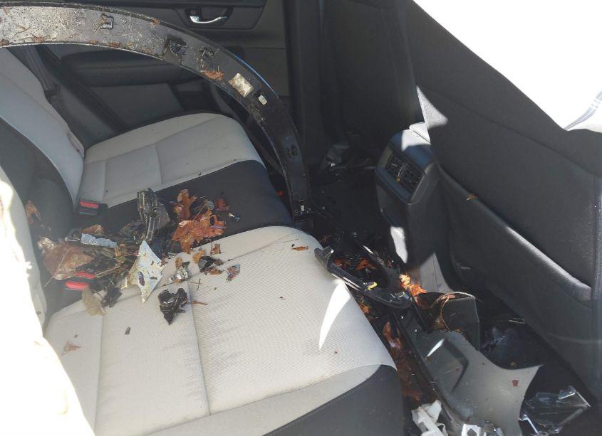 Photo 8 of 2023 Honda Cr-v EX AWD (VIN 7FARS4H43PE003717)