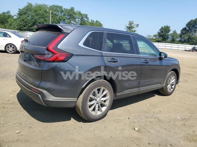 Photo 13 of 2025 HONDA CR-V EX (VIN 7FARS4H45SE019166)