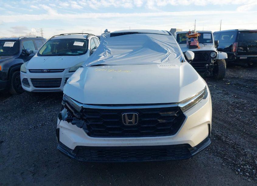 Photo 12 of 2024 Honda Cr-v EX-L AWD (VIN 7FARS4H74RE001679)