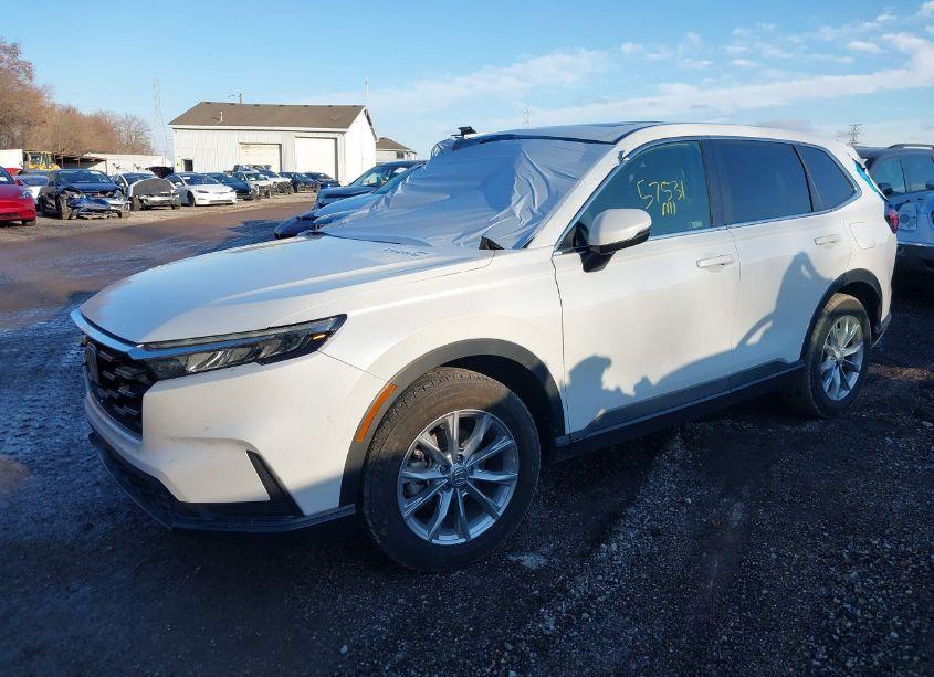 Photo 2 of 2024 Honda Cr-v EX-L AWD (VIN 7FARS4H74RE001679)