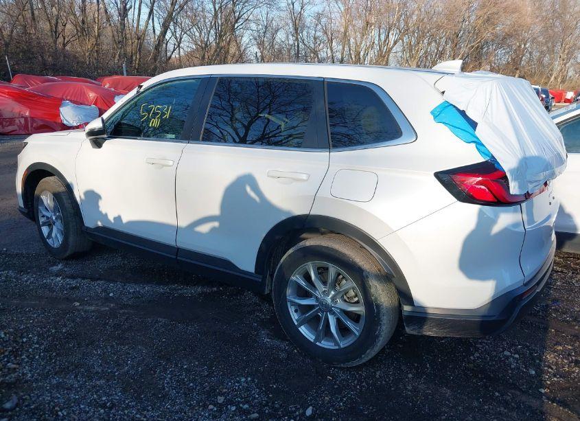 Photo 3 of 2024 Honda Cr-v EX-L AWD (VIN 7FARS4H74RE001679)