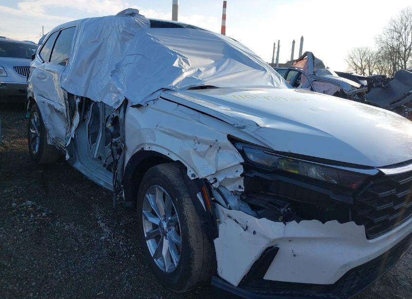 Photo 6 of 2024 Honda Cr-v EX-L AWD (VIN 7FARS4H74RE001679)