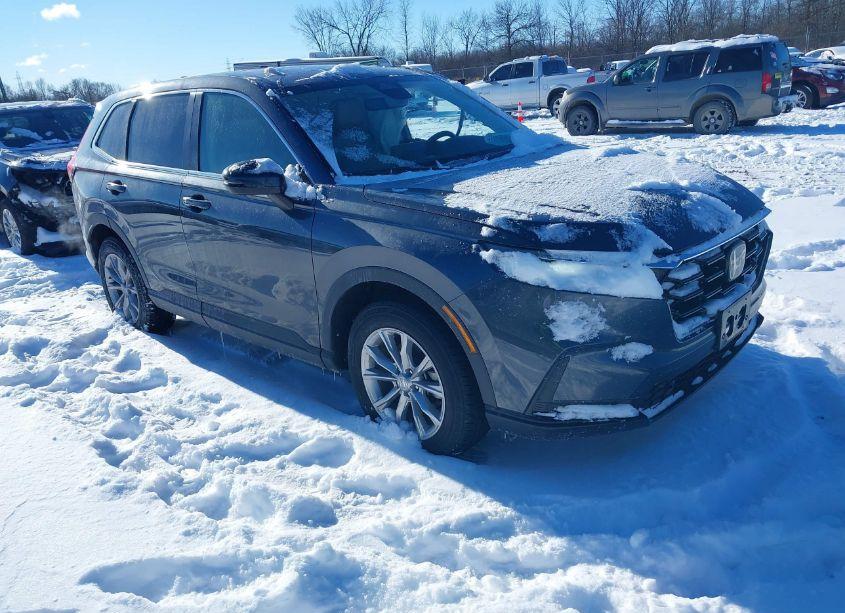 2023 Honda Cr-v EX-L AWD (VIN 7FARS4H78PE016070) main photo