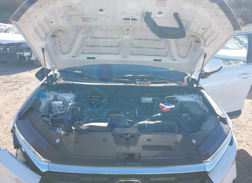 Photo 10 of 2024 Honda Cr-v EX-L AWD (VIN 7FARS4H79RE014511)