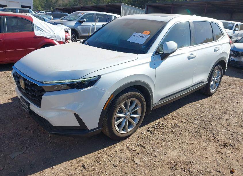 Photo 2 of 2024 Honda Cr-v EX-L AWD (VIN 7FARS4H79RE014511)