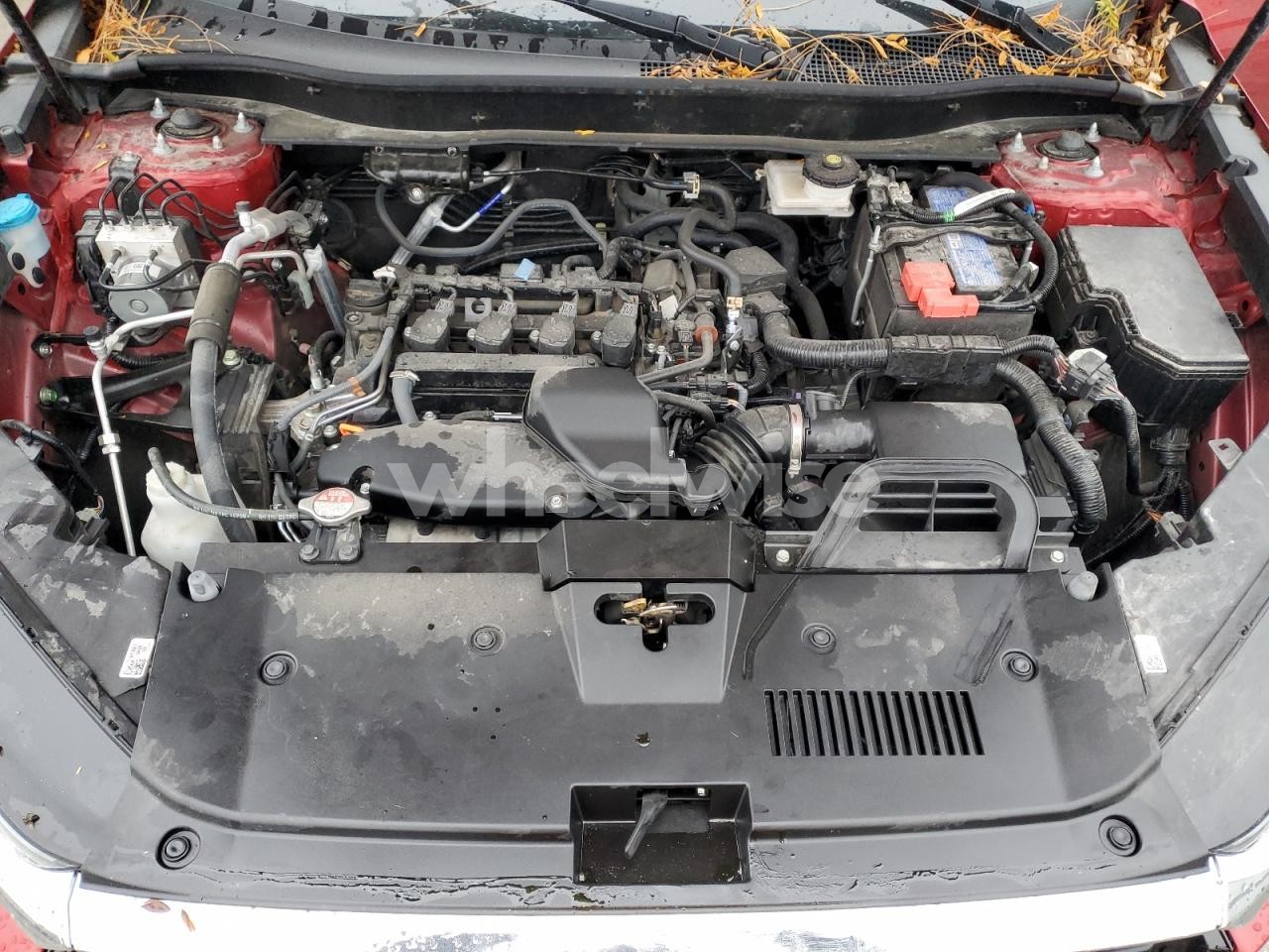 Photo 12 of 2024 HONDA CR-V EXL N/A (VIN 7FARS4H7XRE000861)