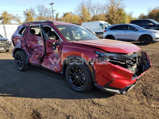 2025 HONDA CR-V SPORT-L (VIN 7FARS6H80SE075451) main photo