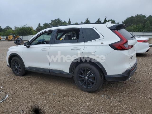 Photo 11 of 2025 HONDA CR-V SPORT-L (VIN 7FARS6H82SE049269)
