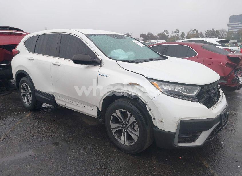 2020 Honda Cr-v HYBRID LX (VIN 7FART6H24LE012993) main photo