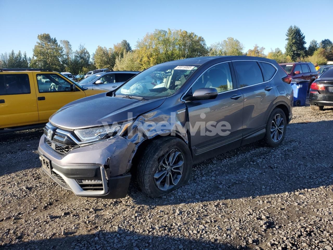 2021 HONDA CR-V EX (VIN 7FART6H5XME009298) main photo