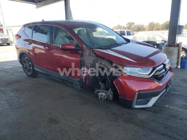 Photo 10 of 2021 HONDA CR-V EXL N/A (VIN 7FART6H89ME012025)