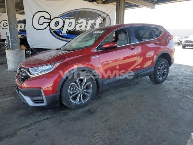 Photo 9 of 2021 HONDA CR-V EXL N/A (VIN 7FART6H89ME012025)