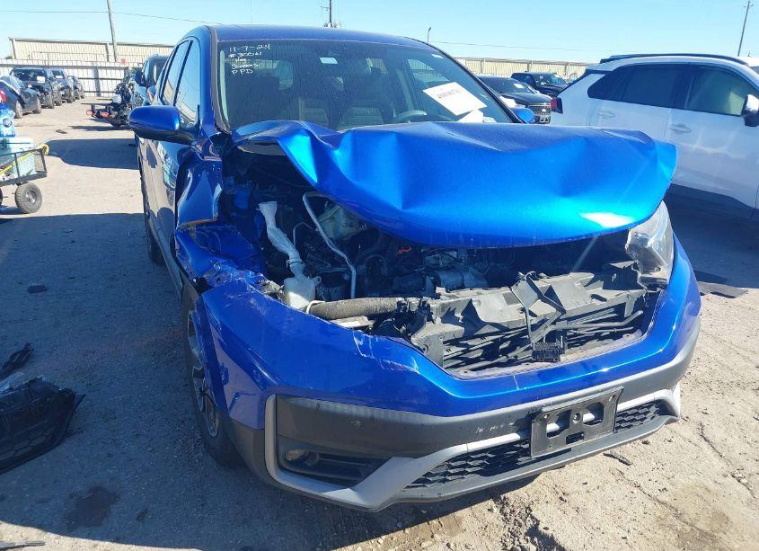 2020 Honda Cr-v 2WD EX (VIN 7FARW1H56LE008478) main photo