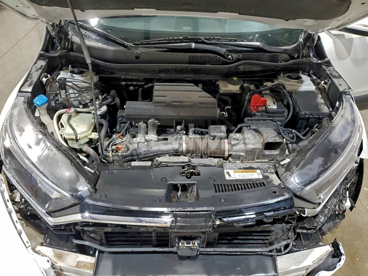 Photo 12 of 2022 HONDA CR-V EX (VIN 7FARW1H56NE023209)