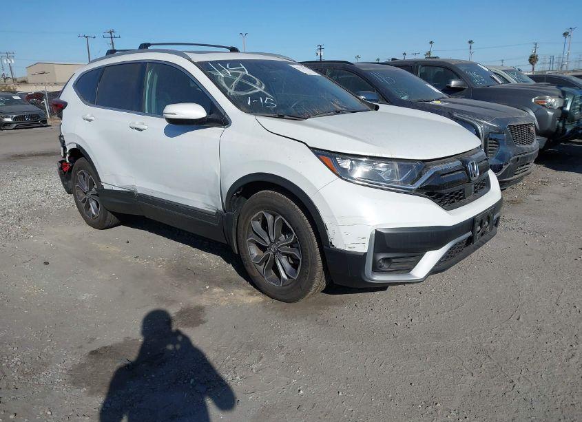 2022 Honda Cr-v 2WD EX-L (VIN 7FARW1H80NE007324) main photo