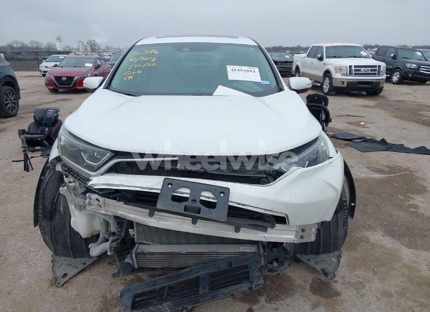 Photo 12 of 2019 Honda Cr-v EX-L (VIN 7FARW1H81KE036939)