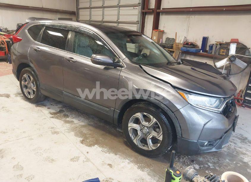 2019 Honda Cr-v EX-L (VIN 7FARW1H82KE024556) main photo