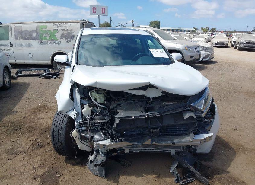 Photo 13 of 2019 Honda Cr-v EX-L (VIN 7FARW1H87KE031020)