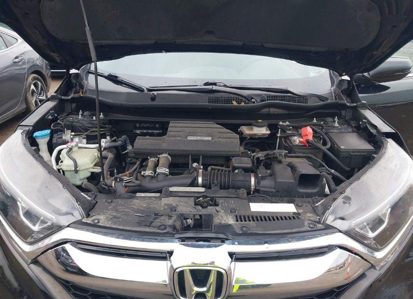 Photo 10 of 2019 Honda Cr-v EX-L (VIN 7FARW1H8XKE036325)