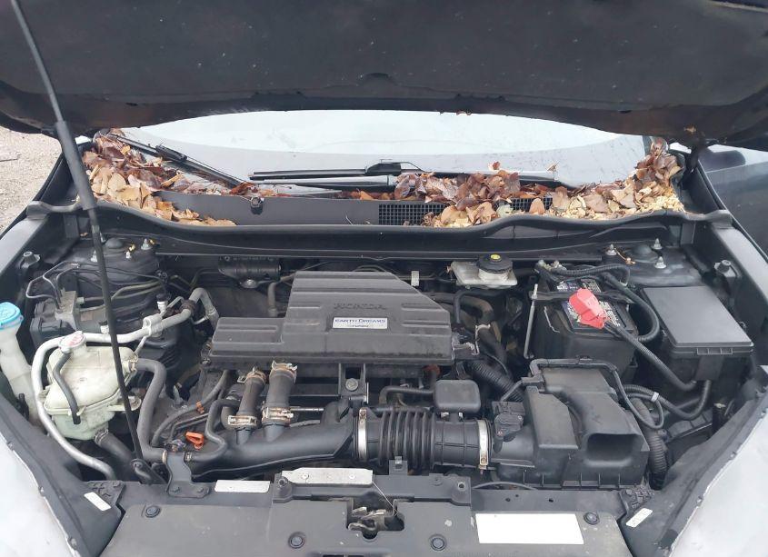 Photo 10 of 2018 Honda Cr-v EX (VIN 7FARW2H50JE084779)