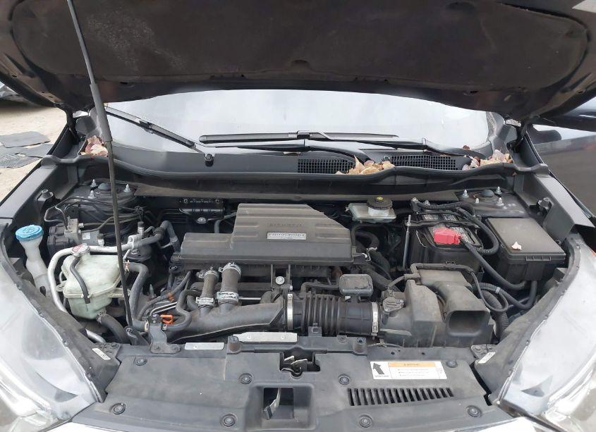 Photo 10 of 2019 Honda Cr-v EX (VIN 7FARW2H50KE056210)
