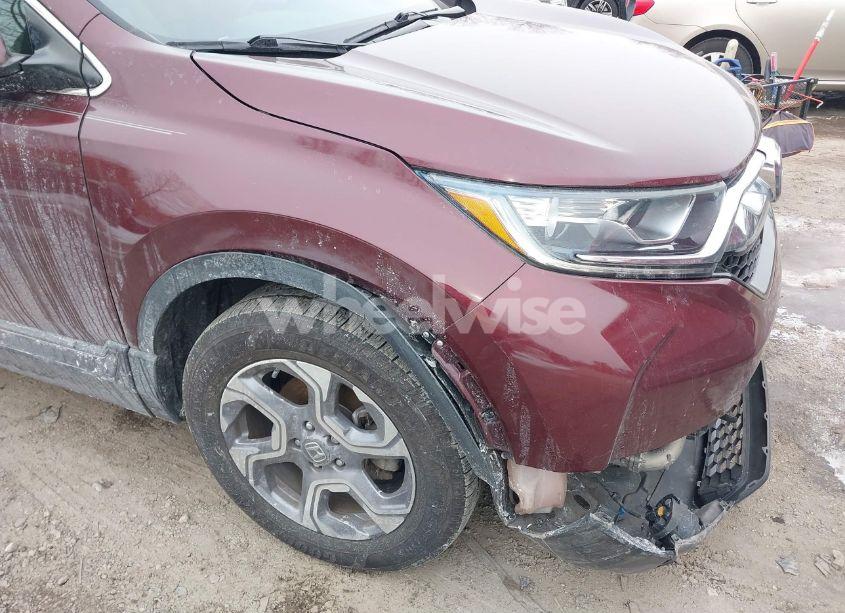 Photo 19 of 2019 Honda Cr-v EX (VIN 7FARW2H52KE062820)