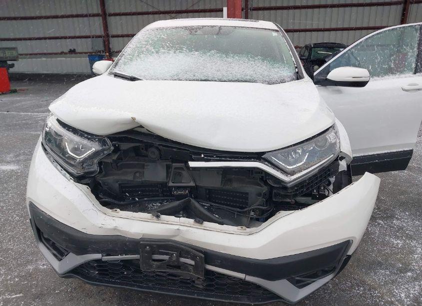 Photo 6 of 2021 Honda Cr-v AWD EX (VIN 7FARW2H52ME025950)