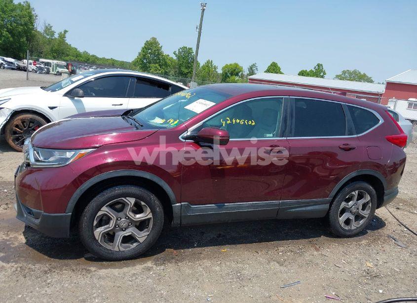 Photo 14 of 2019 Honda Cr-v EX (VIN 7FARW2H54KE004143)