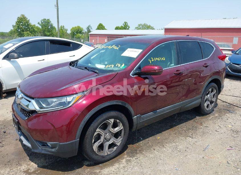 Photo 2 of 2019 Honda Cr-v EX (VIN 7FARW2H54KE004143)