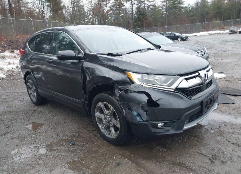 Photo 12 of 2019 Honda Cr-v EX (VIN 7FARW2H54KE062558)
