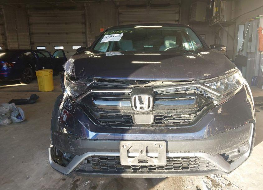 Photo 6 of 2020 Honda Cr-v AWD EX (VIN 7FARW2H54LE005746)