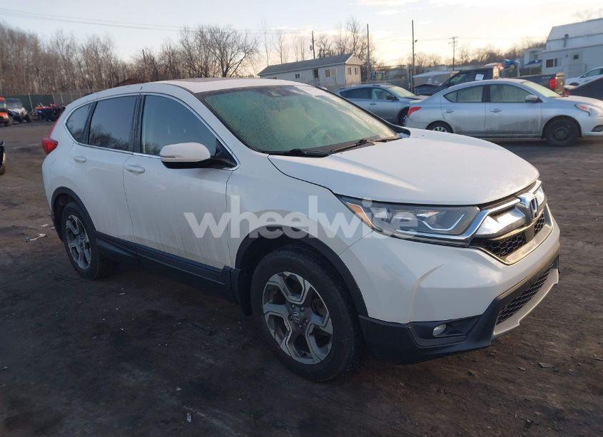 2019 Honda Cr-v EX (VIN 7FARW2H55KE021162) main photo