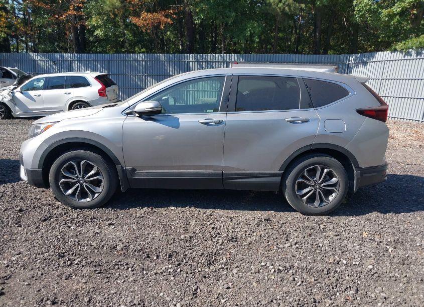Photo 14 of 2021 Honda Cr-v AWD EX (VIN 7FARW2H5XME028787)